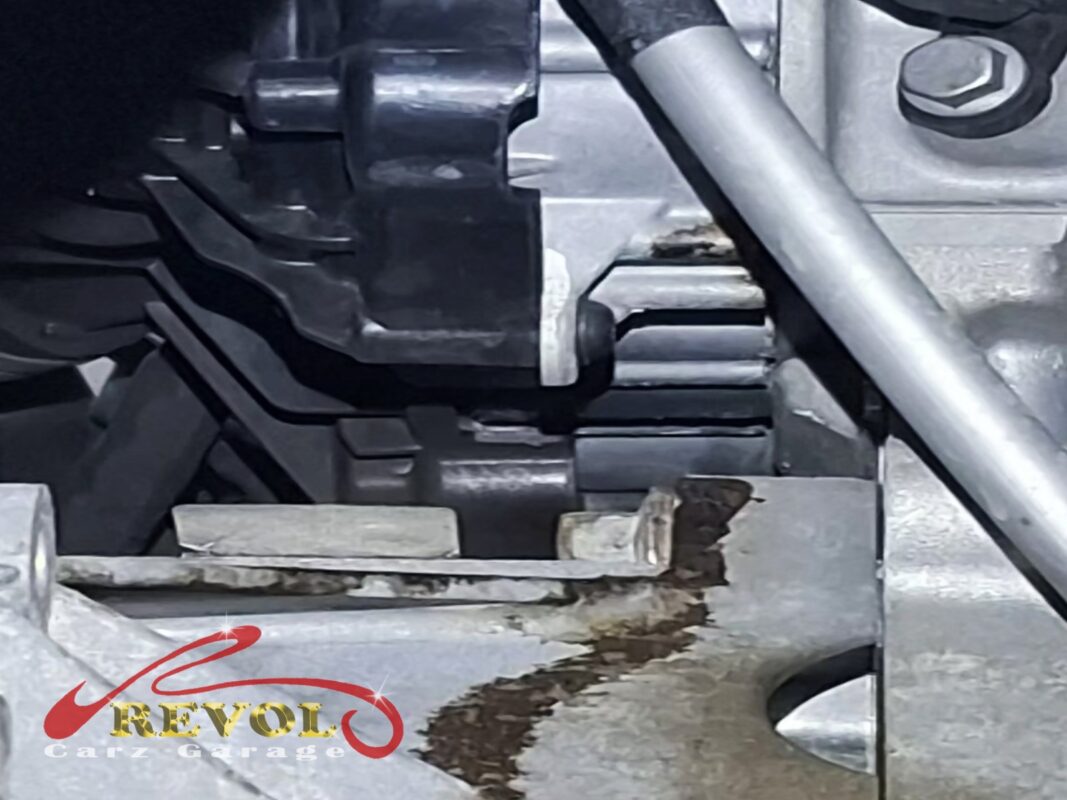A trail of dried brown coolant residue running down the side of the engine, the visible sign of the shaft seal weeping.