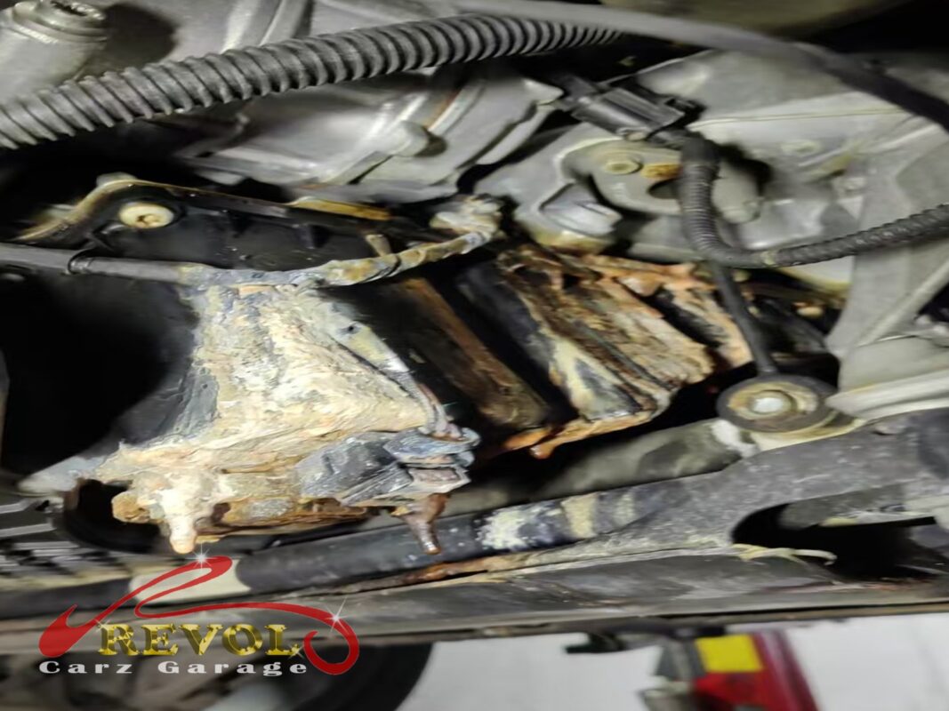 Under the engine, the lower bay caked with baked-on oil residue, the trail of a leak that had been running for a while.