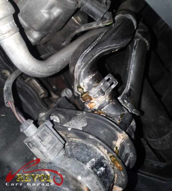The old perished, cracking coolant hoses removed.
