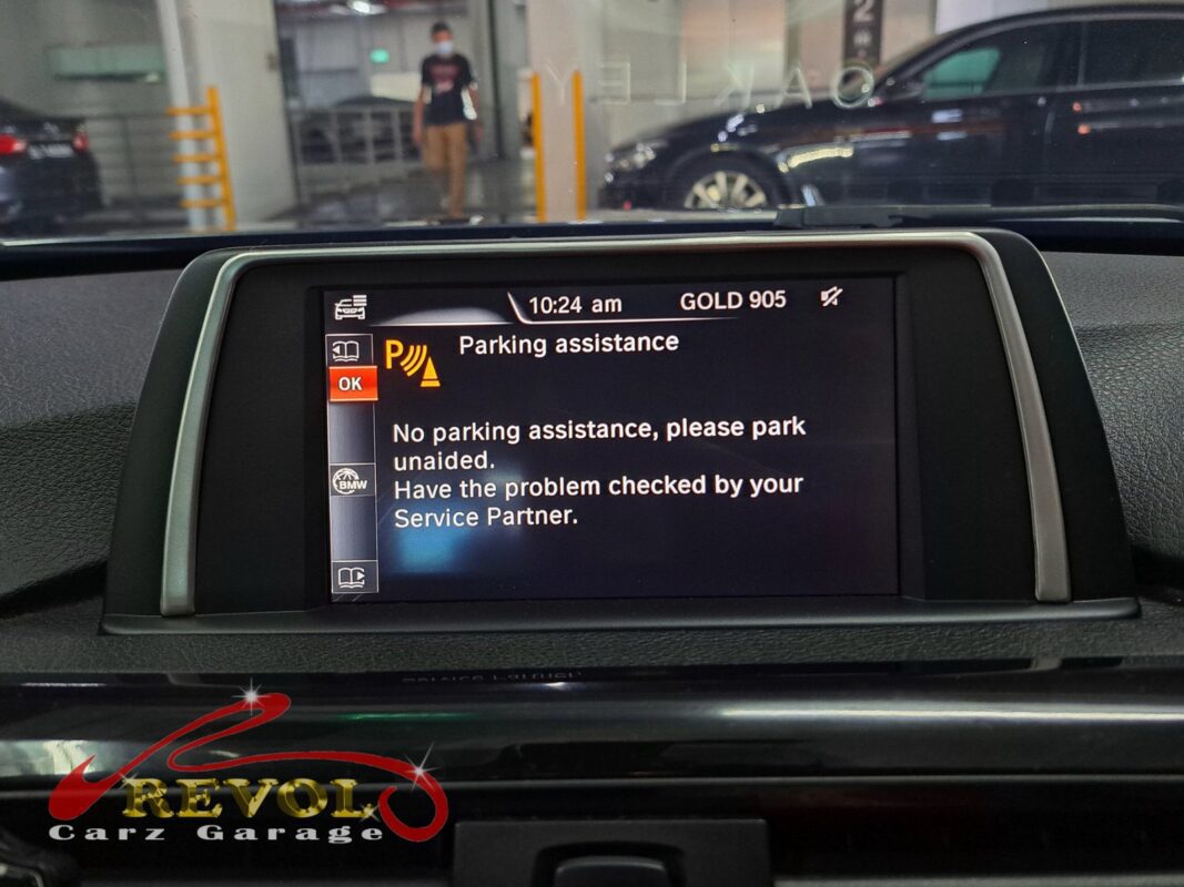 The diagnostic scan showing the parking sensor fault on the BMW 316i.