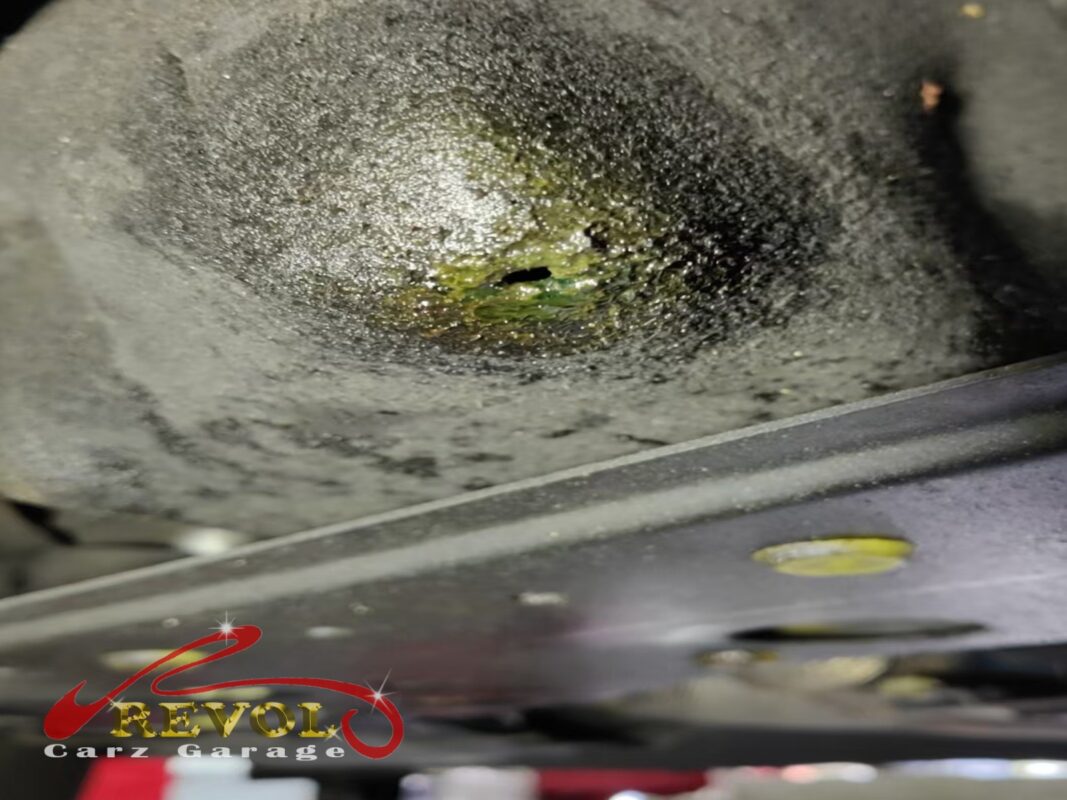 Coolant pooled on the undertray below the water pump, the leak collecting where it dripped.