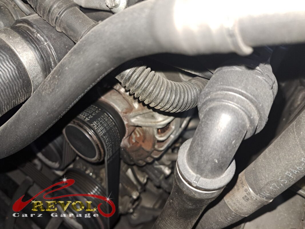 Looking into the engine bay at the accessory belt and the alternator pulley, where the squeal was coming from.