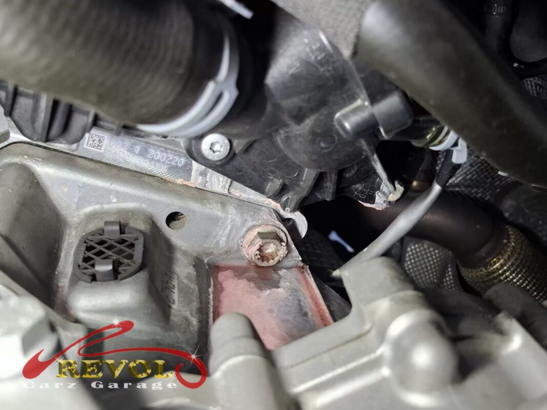 Dried pink coolant crusted around the pump and its seal, the leak that brought it in.