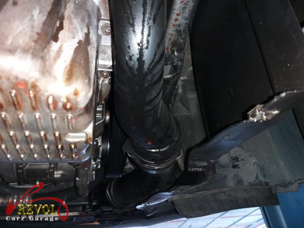 The new genuine VW-spec coolant hoses and clamps ready to fit.