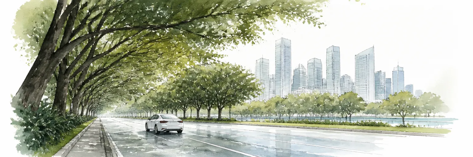 Watercolour illustration of a white car passing beneath green rain trees on a Singapore avenue.