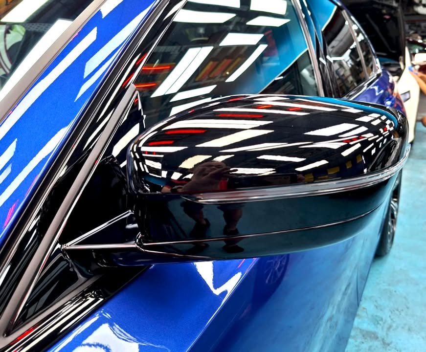 The gloss black wing mirror cap against the blue door.