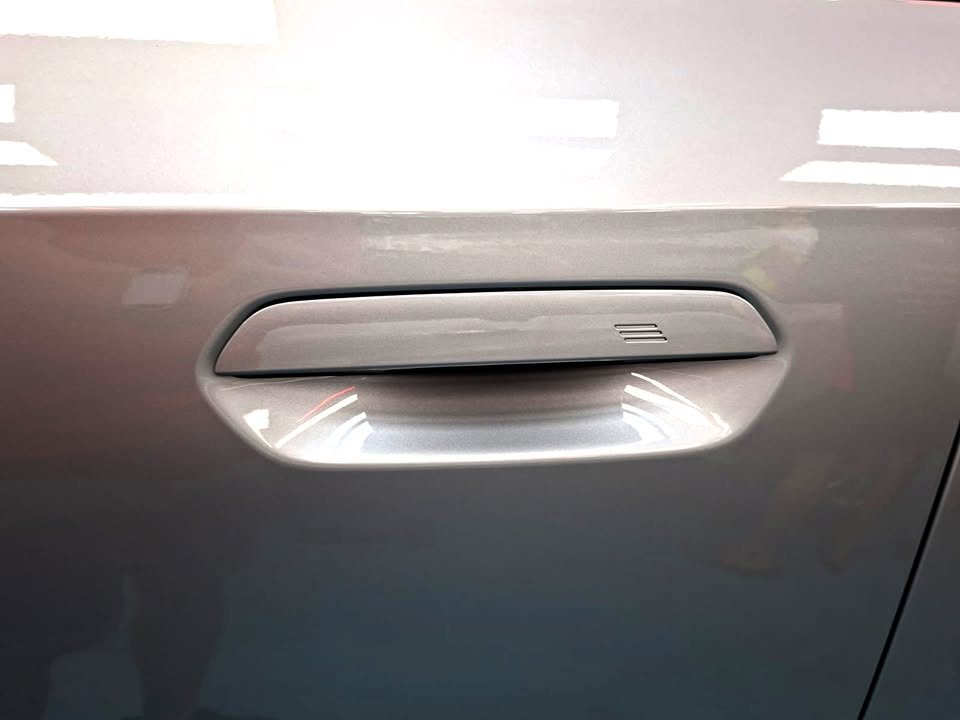 Close-up of the silver door panel and flush door handle.