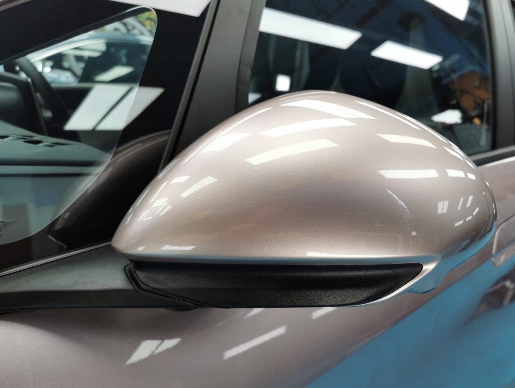 Side panel of the BYD Dolphin Dynamic with the titanium finish locked in.