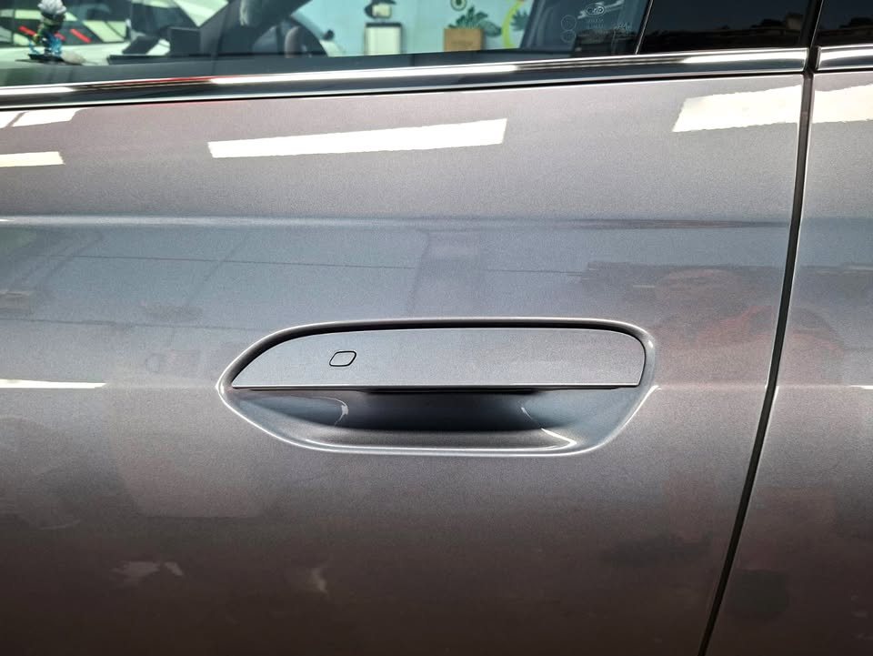 Flush door handle set into the grey door panel of the Seal 6.
