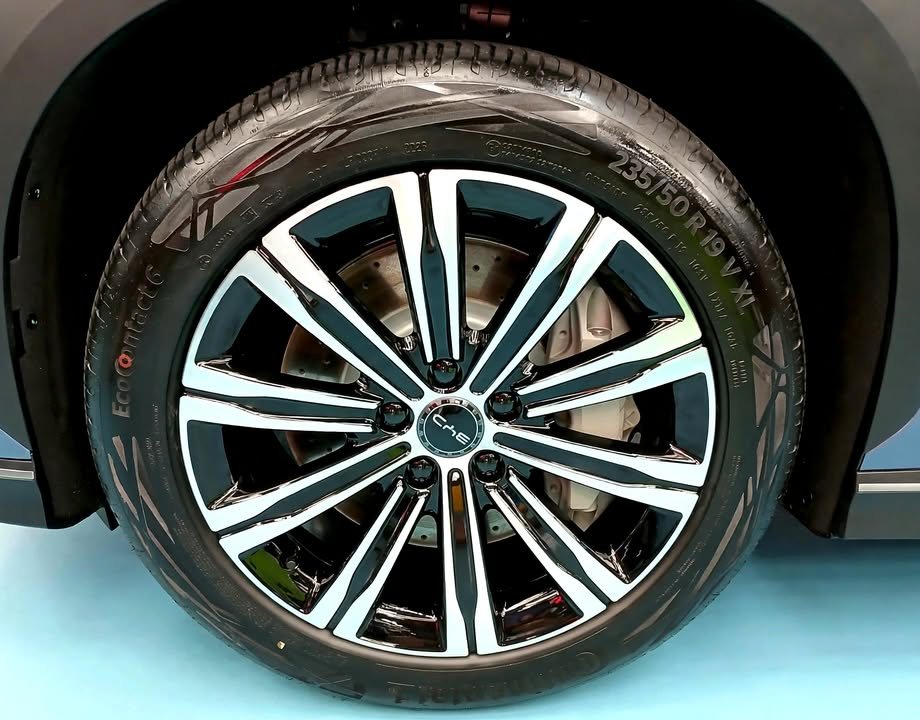 Two-tone multi-spoke alloy wheel under the wheel arch.
