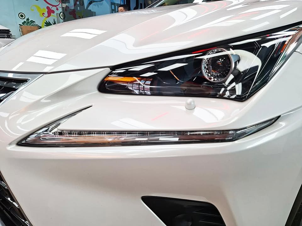 Close view of the Lexus headlight and white front bumper.
