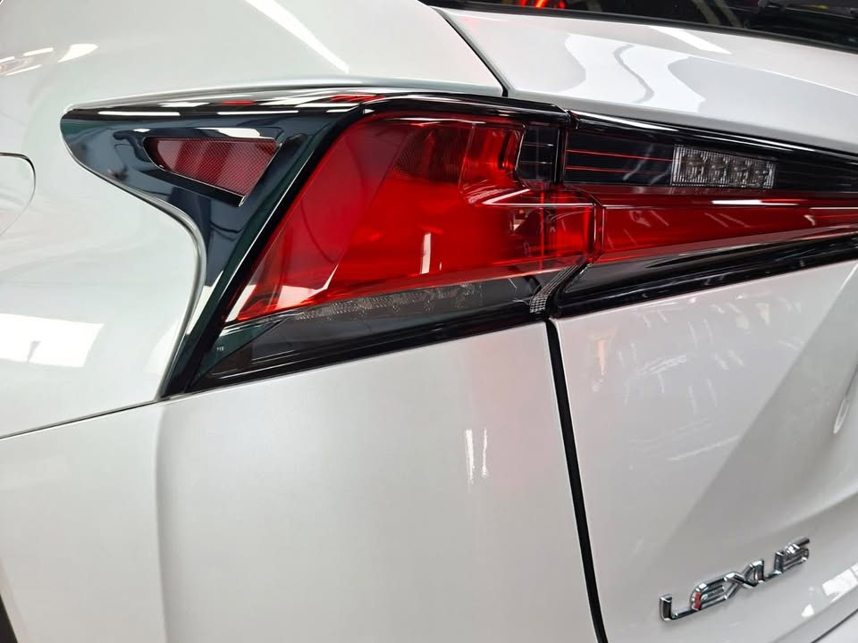 Tail light and Lexus lettering on the white tailgate.