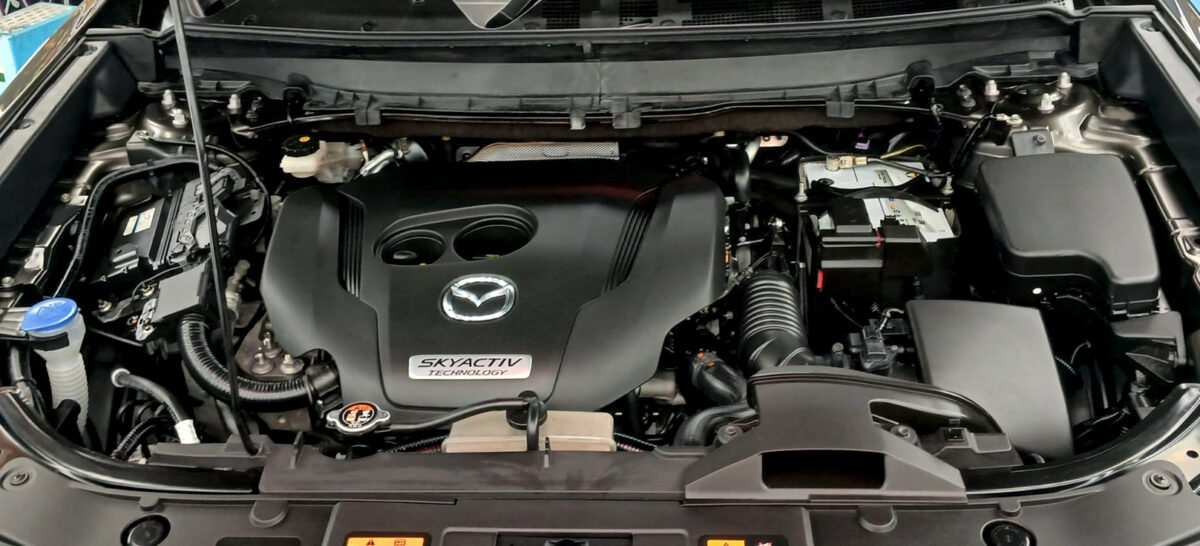 Detail of the Mazda CX-9's bodywork sealed with ZeTough Titanium.