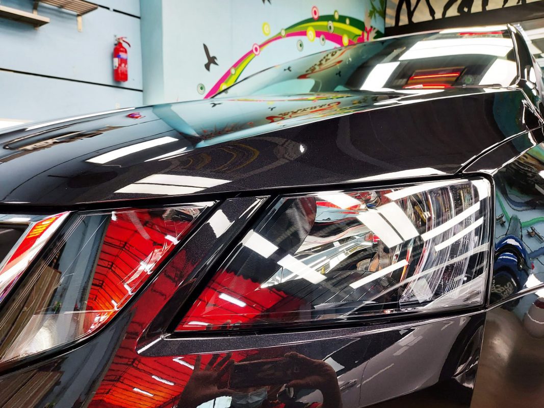 The Octavia's coated paintwork showing clean reflections.