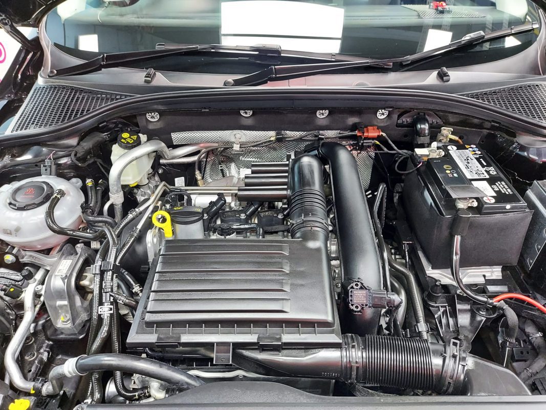 Front three-quarter view of the Octavia, freshly coated.