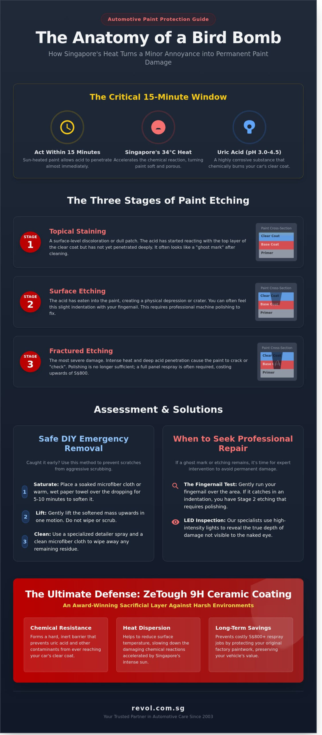 Bird Dropping Paint Damage Repair: The Ultimate Singapore Guide (2026) - Infographic