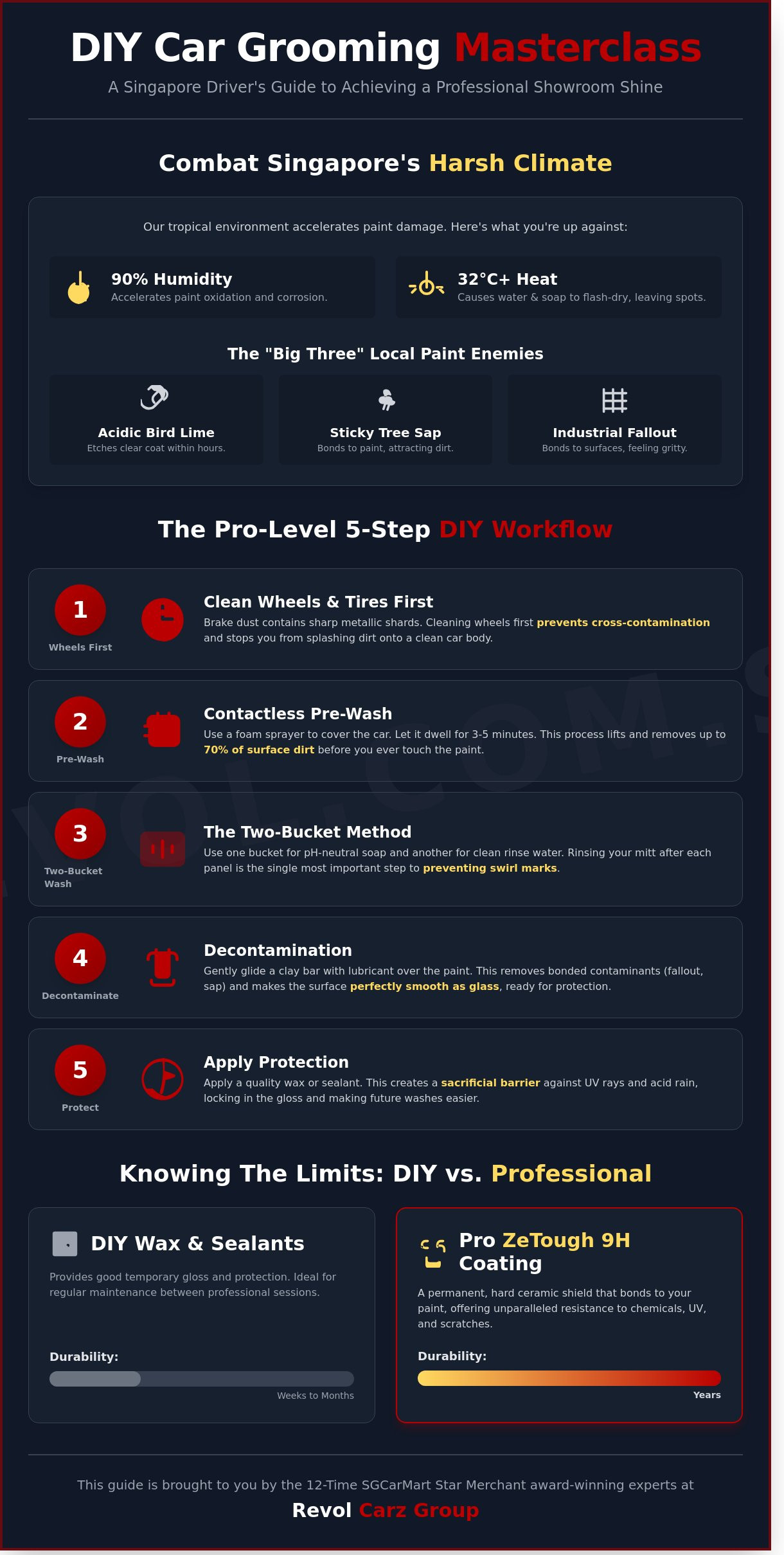 DIY Car Grooming Tips: The Ultimate Guide to Professional Results at Home (2026 Edition) - Infographic